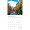 New York Wild & Scenic | 2026 12 x 24 Inch (Hanging) Monthly Square Wall Calendar | Plastic-Free